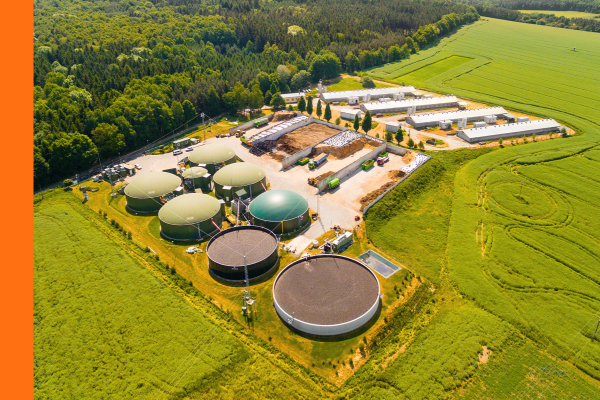 Bioenergy / Germany / 2024 / Q4